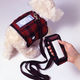 Image for article titled iPod Dock Converts Dog into Walking Barking Boombox